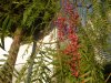 Andalusien_114